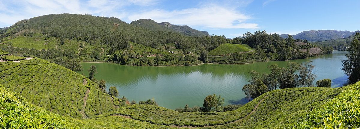Tea plantations by the Mattupetty reservoir in the Kannan Devan Hills (Idukki district, Kerala, India).