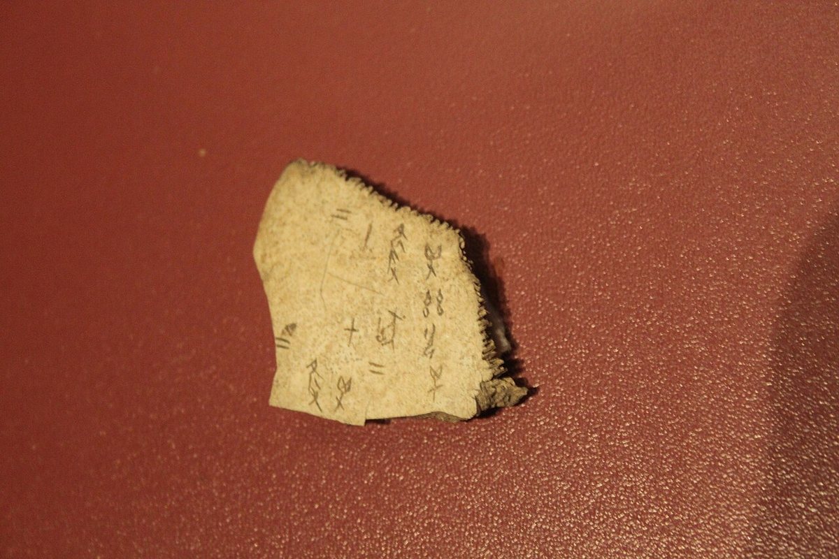 A fragment of ox bone with an incised inscription, Yinxu Museum, Anyang.