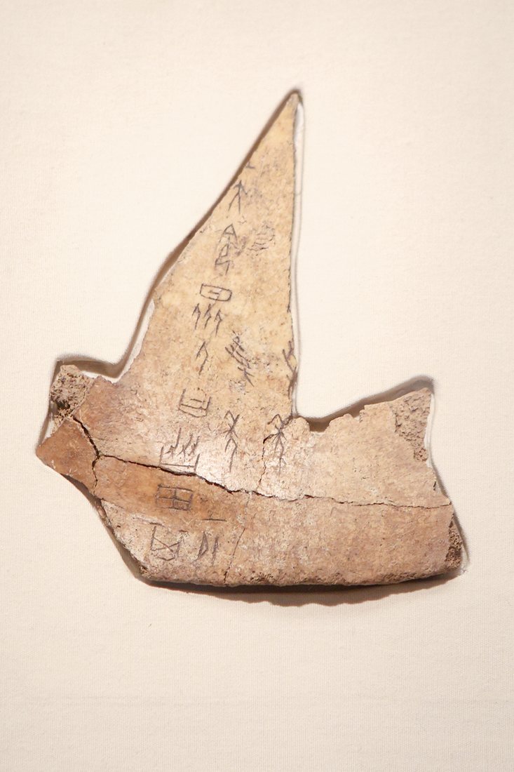 An inscribed oracle bone, National Museum of China, Beijing.