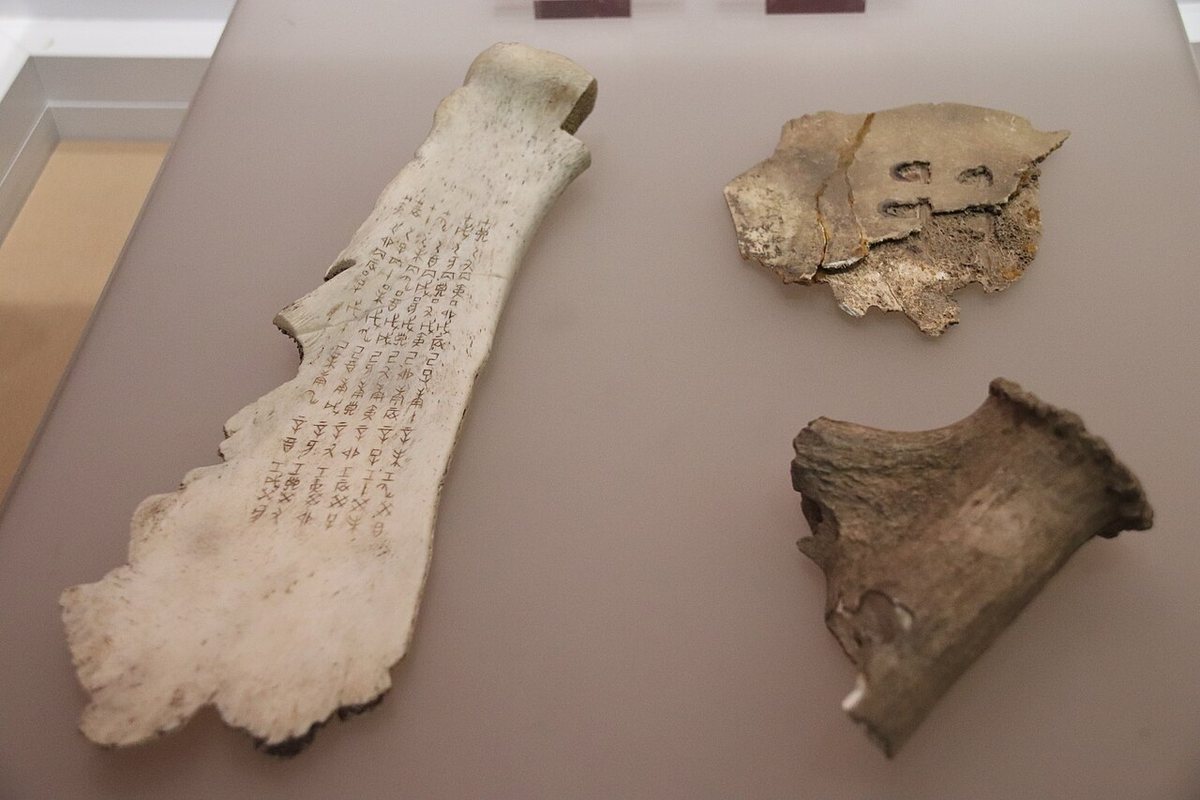 Oracle bones from Yinxu, Anyang. The scapula on the left (no. 37986 in the Heji corpus) dates from the reigns of the last two Shang kings (c. 1100–1046 BCE) and bears a complete table of the sixty-day cycle used to date divinations.