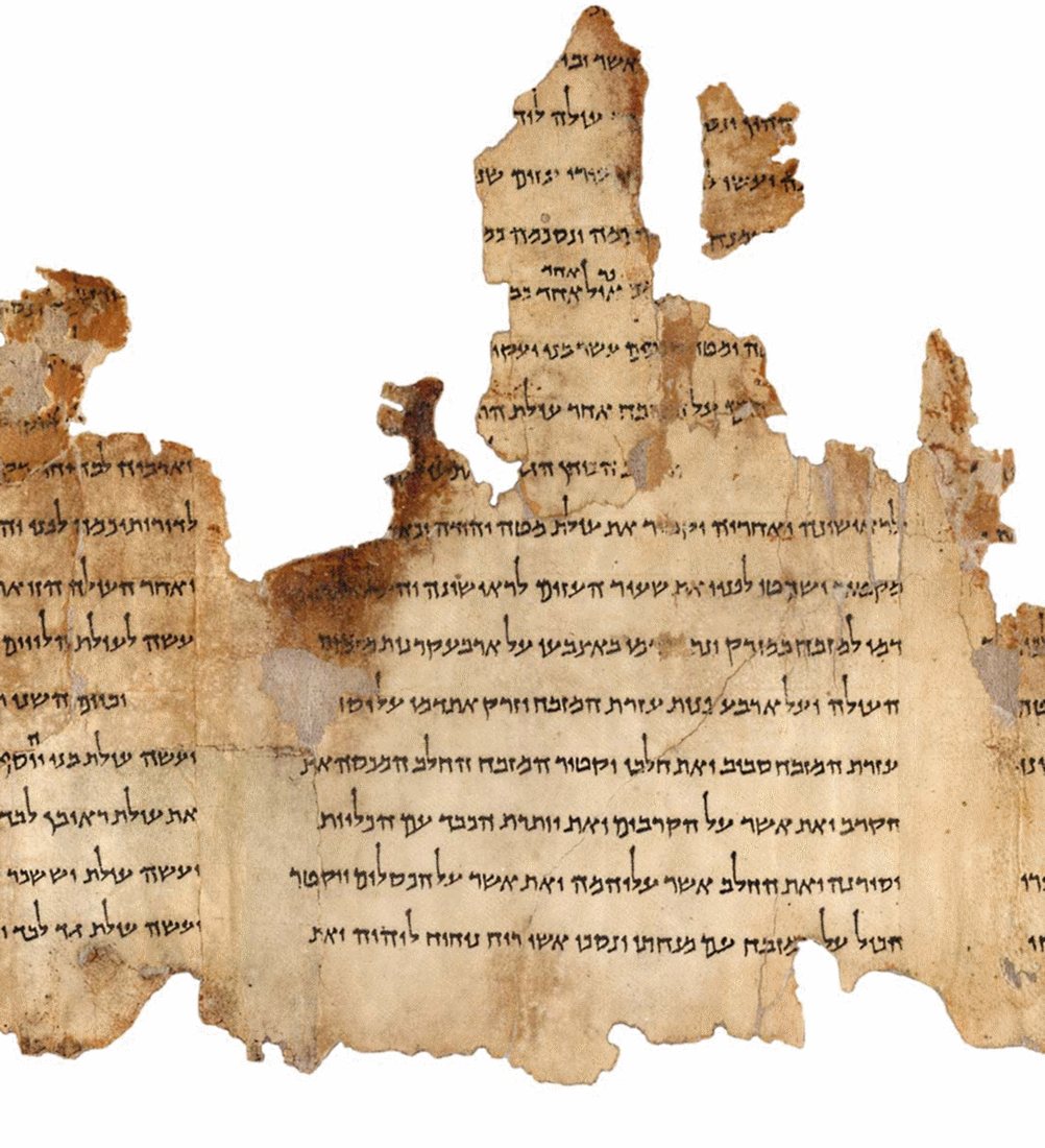 Part of the Temple Scroll (11Q19) from Qumran Cave 11, the longest of the Dead Sea Scrolls (8.15 m). Israel Museum, Jerusalem.