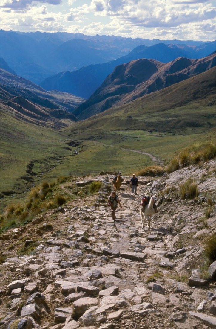 A stretch of the Qhapaq Ñan (“royal road”), the network of Inca roads linking Cusco with every part of the empire, in Peru east of the Cordillera Blanca. Hikers with llamas are walking along it.