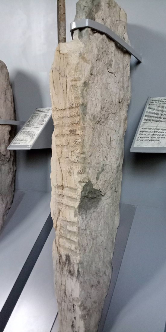 An ogham stone in the collection of University College Cork (UCC 17): the strokes and notches run along the edge of the stone, which serves as the stemline of the script.