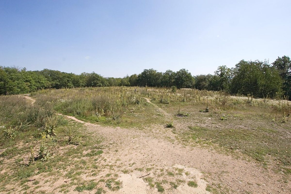The acropolis of the Celtic oppidum of Závist on a spur above the Vltava south of Prague. A cult site stood here as early as the 5th century BCE; the oppidum was founded in the 2nd century BCE.