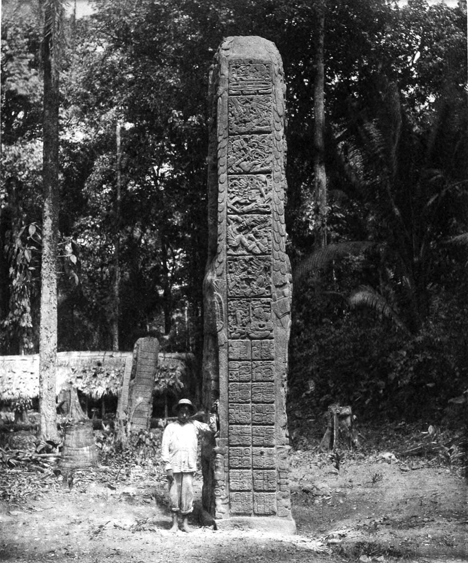 Stela D at Quiriguá (Guatemala), covered in columns of glyphs, photographed by Alfred P. Maudslay in the late 19th century.