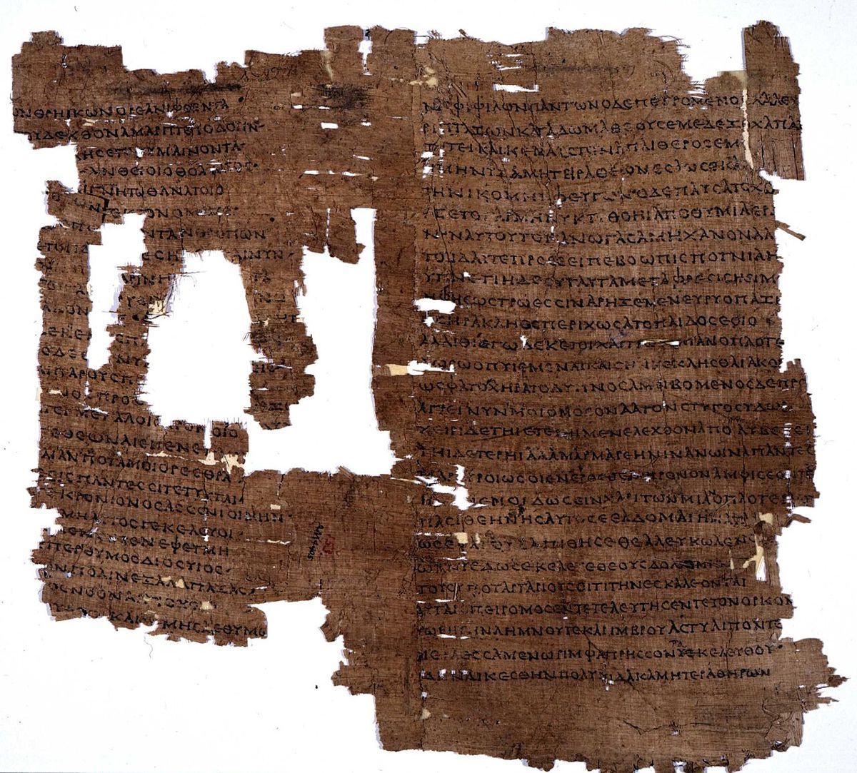 A fragment of Homer's Iliad on papyrus from Oxyrhynchus in Egypt. Princeton University Library.