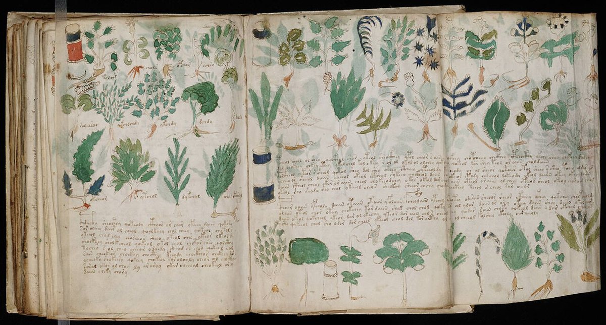 A fold-out leaf of the Voynich manuscript with drawings of plant parts, roots and jars resembling apothecary vessels; the labels beside the drawings are in the same unknown script.